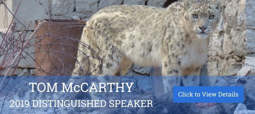 Snow Leopard Images from McCarthy Talk