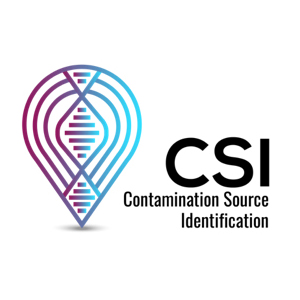 CSI logo